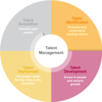 Talent Management System Development